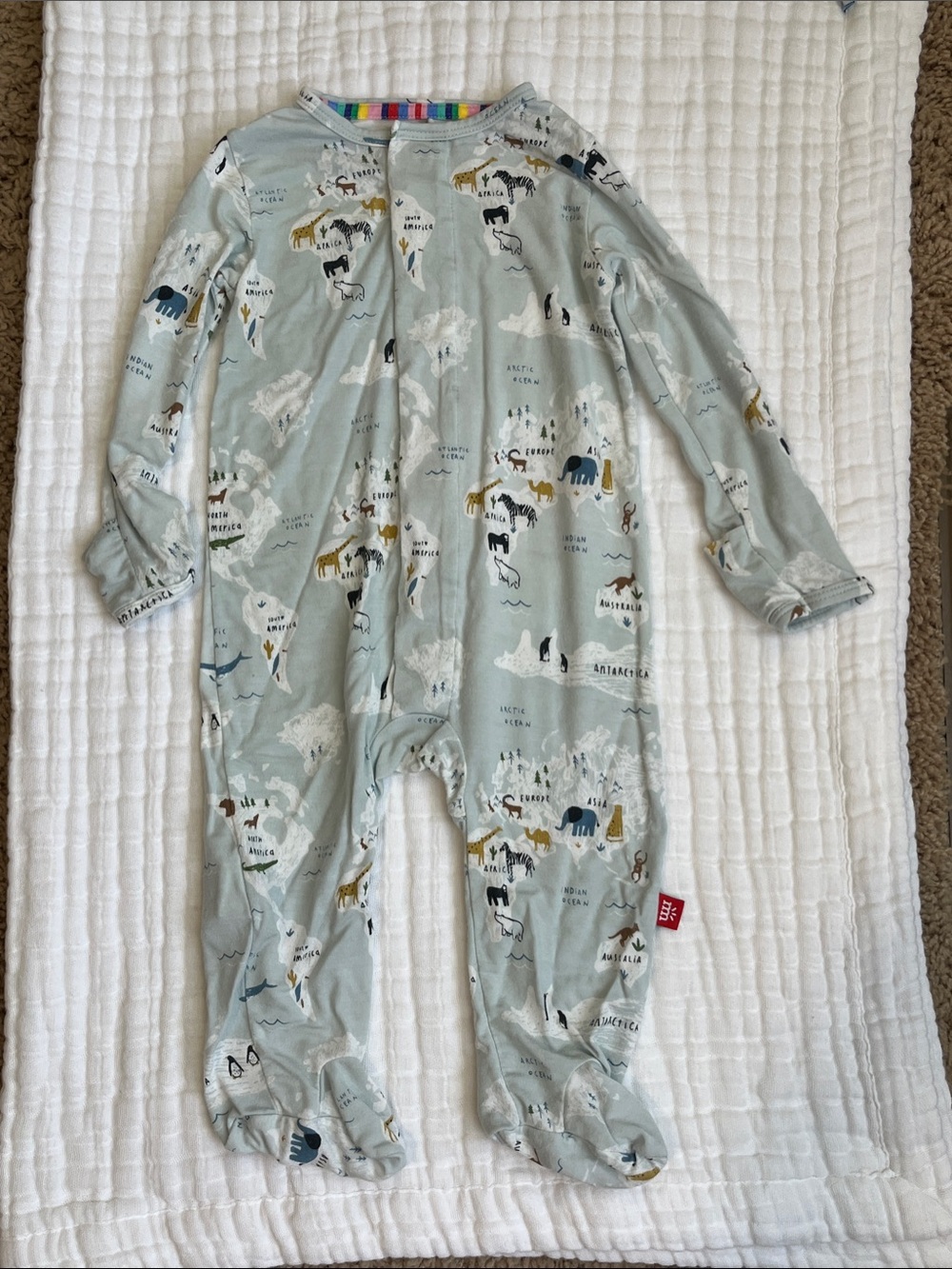 One-Piece Footed Pajamas in Light Sage with Animal Map Print